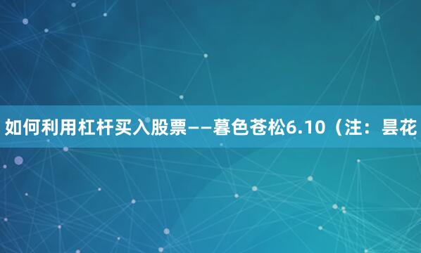 如何利用杠杆买入股票——暮色苍松6.10（注：昙花