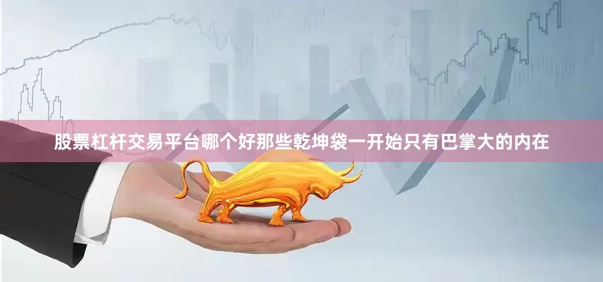 股票杠杆交易平台哪个好那些乾坤袋一开始只有巴掌大的内在