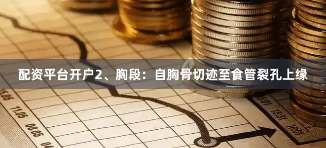 配资平台开户2、胸段：自胸骨切迹至食管裂孔上缘